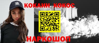 шишки Камышлов