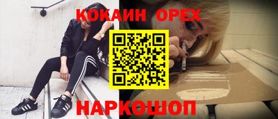 шишки Камышлов