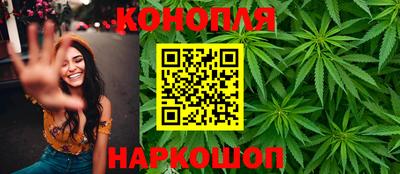 шишки Камышлов