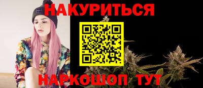 шишки Камышлов