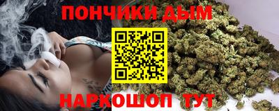шишки Камышлов