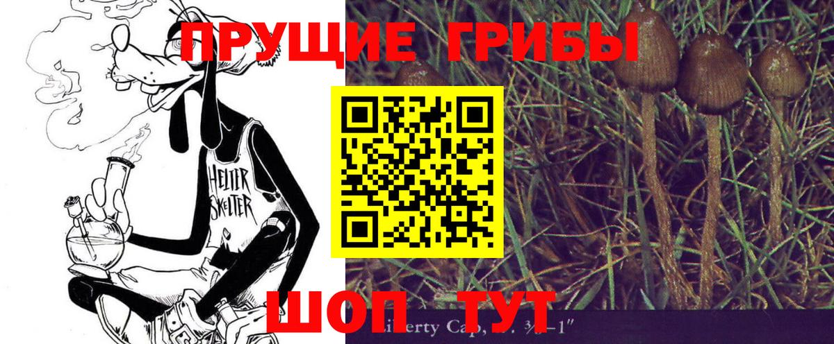 Псилоцибиновые грибы ЛСД Югорск