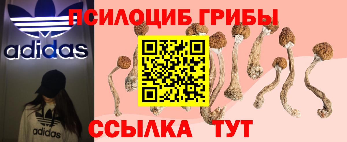 Псилоцибиновые грибы GOLDEN TEACHER  Галлюциногенные грибы прущие грибы  Югорск  Вход с VPN 